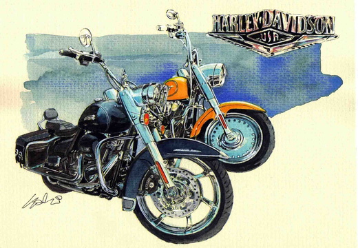 556-Harley Davidson USA-1