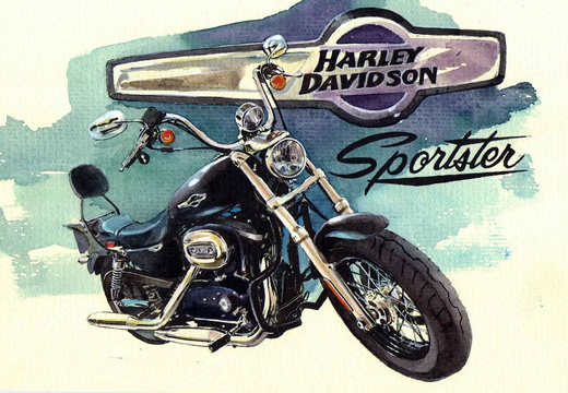 561-Harley Davidson Sportster CB 1200-1