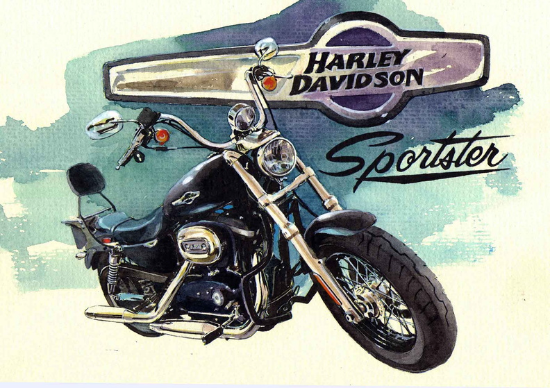 561-Harley Davidson Sportster CB 1200-1.jpg