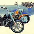 556-Harley Davidson USA-1