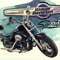 561-Harley Davidson Sportster CB 1200-1