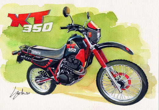 924-Yamaha XT 350-1